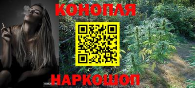 прущие крисы Краснодар