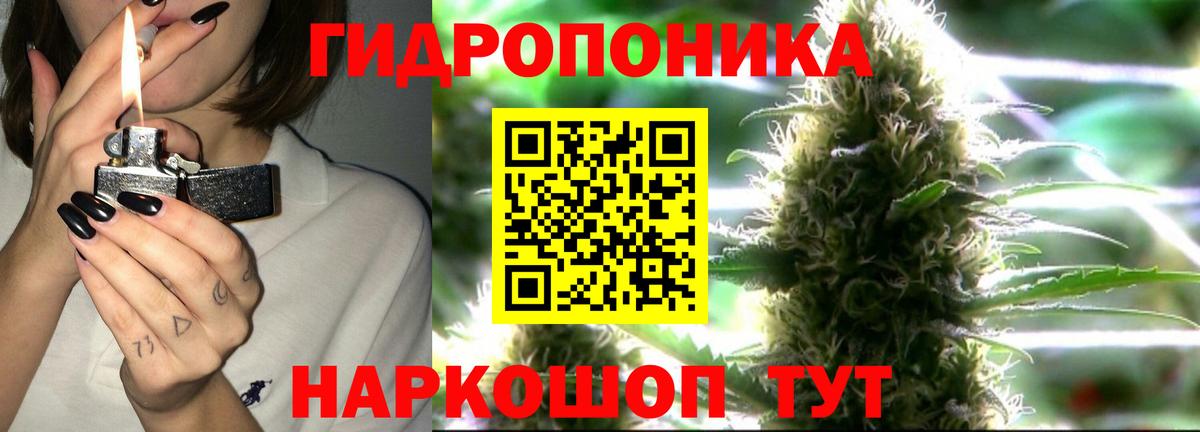 Марихуана OG Kush Карпинск